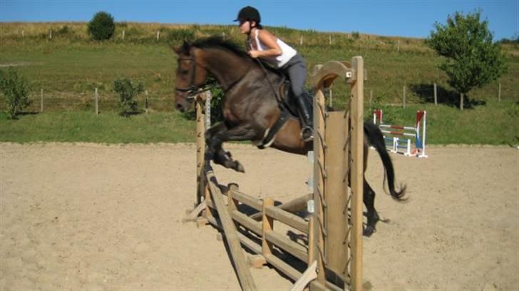 Holstener Lolitta billede 3