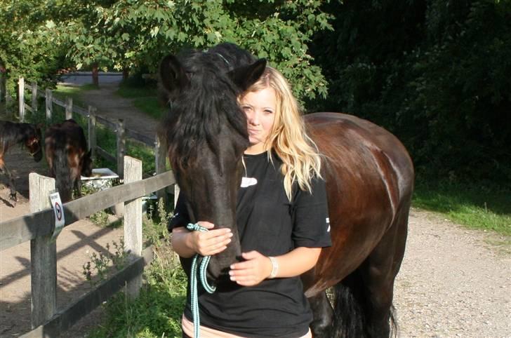 Frieser Sietse VD molenwijk - Man kan bare rende rundt med ham uden grime <3 billede 10