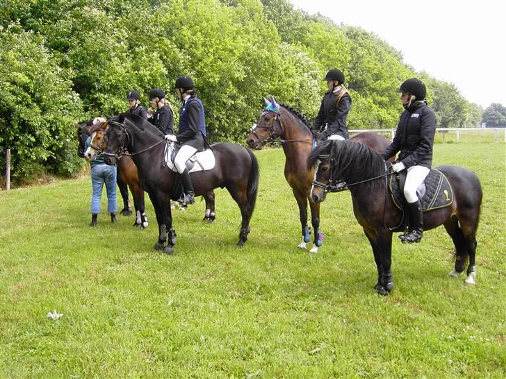 Welsh Mountain (sec A) Laban - Mig og Laban til præmieoverrakkelse :D billede 6