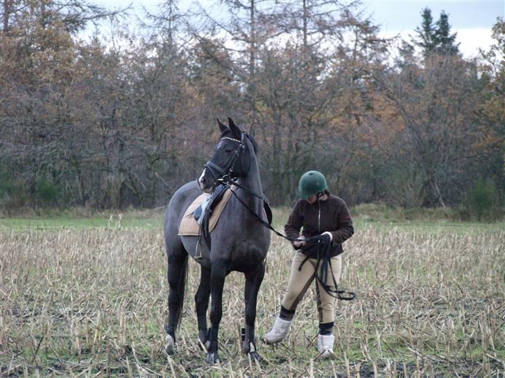 Anden særlig race Malou*solgt* - åhh det er spændende derhenne mor billede 7