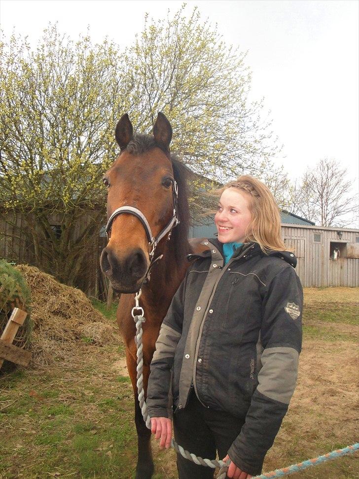 Anden særlig race Phi-mu (rideskole hest) - jeg eeelsker dig i: foto: isabella billede 2