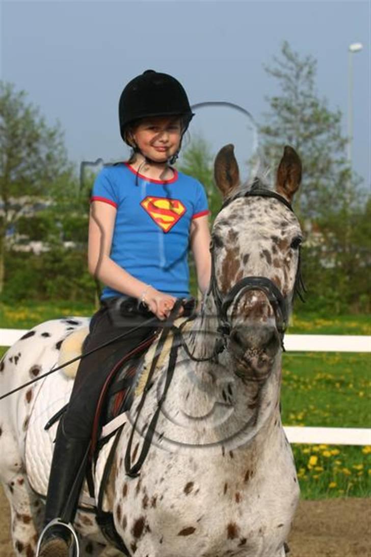 Anden særlig race Galant<3 (aflivet) :´( billede 9