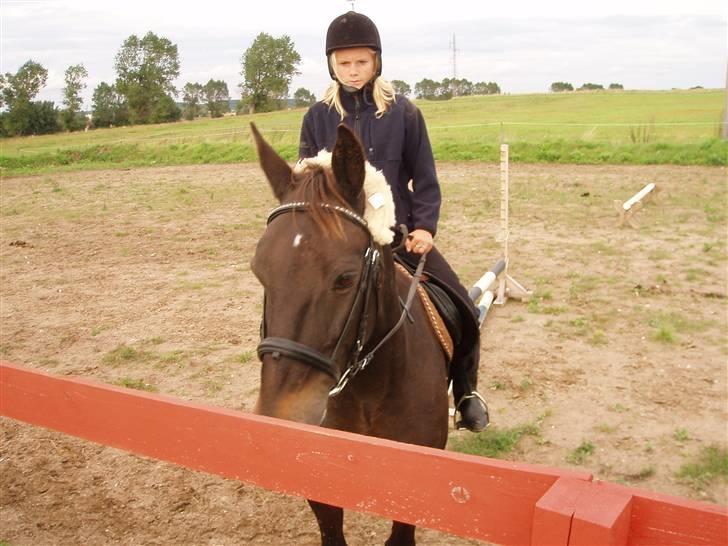 Anden særlig race Fleur  - Thilde og Fleur 2007 billede 11