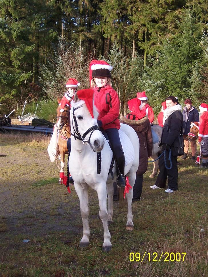Anden særlig race Silver - Jule optog ign :) billede 13