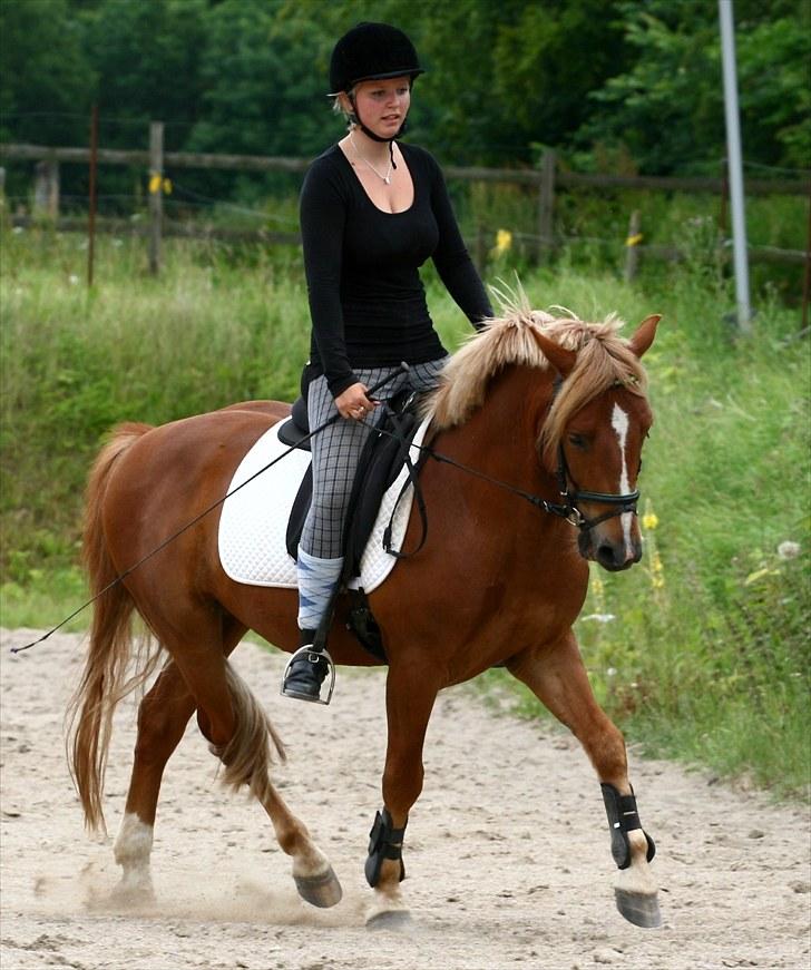 New Forest Fencer Blue Skønager - Ridebilled af mig og fencer fra den 8/7-10 Foto af Camilla Rosenlund / CR-FOTO billede 3