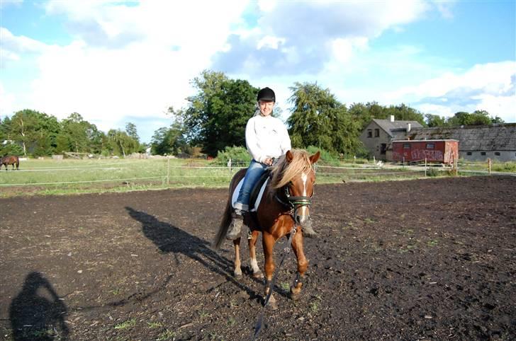 New Forest Fencer Blue Skønager - Så fik jeg langt om længe taget et billed af hvor jeg skridter på fencer :P 4 gang jeg er oppe  billede 11