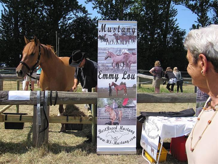 Mustang Emmy Lou - Emmy Lou på udstilling på Sjælland billede 2