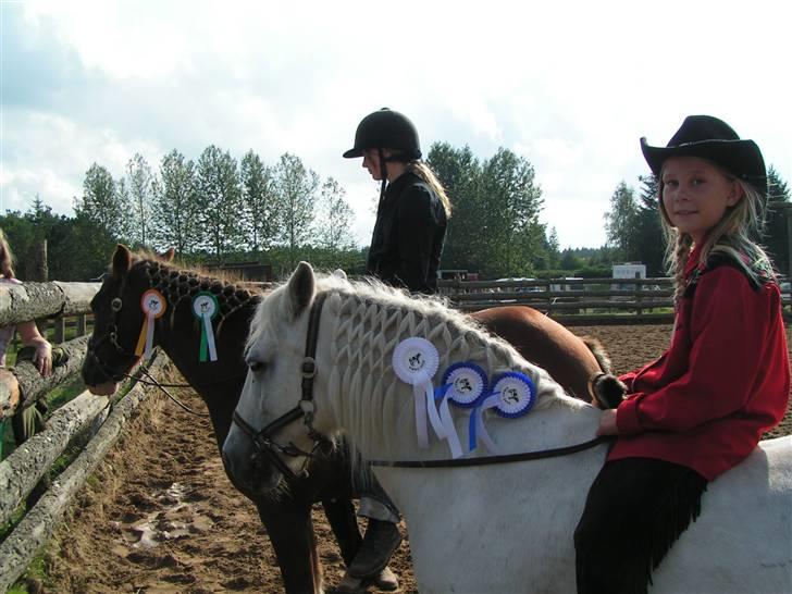 Anden særlig race Pretty White Star - til stævne i hytten! 2x1.pladser og en 4.plads billede 5