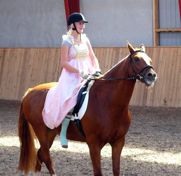 Anden særlig race Lord Castao "Dumle" - Miiiinh´Miiiiin dejlige hestti  billede 2