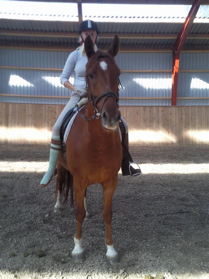 Anden særlig race Lord Castao "Dumle" - iiii ,, skatt ? jeg elsker diiig ;-* billede 3