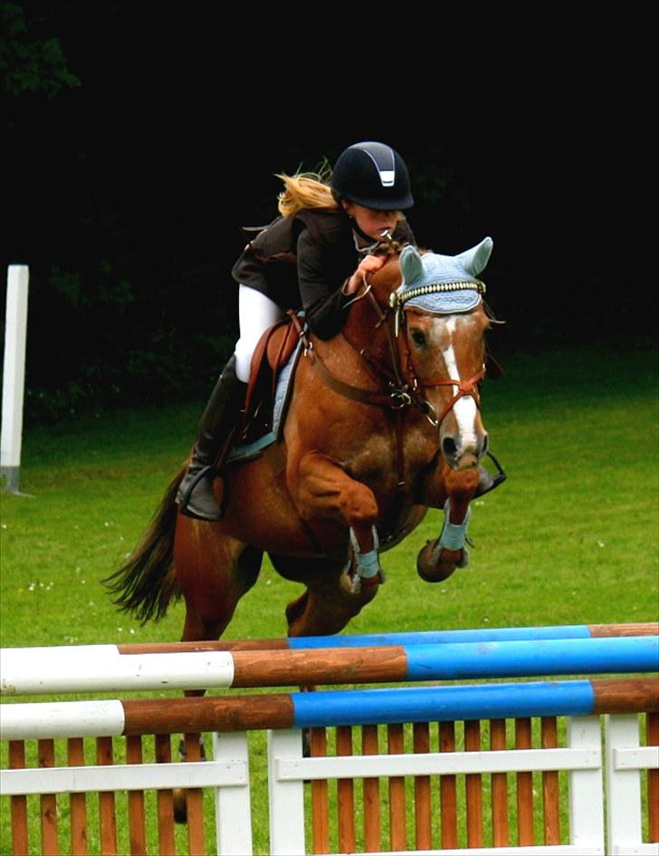 Anden særlig race SWEET CHERRY {b-pony} - sydjysk mesterskab :) billede 1