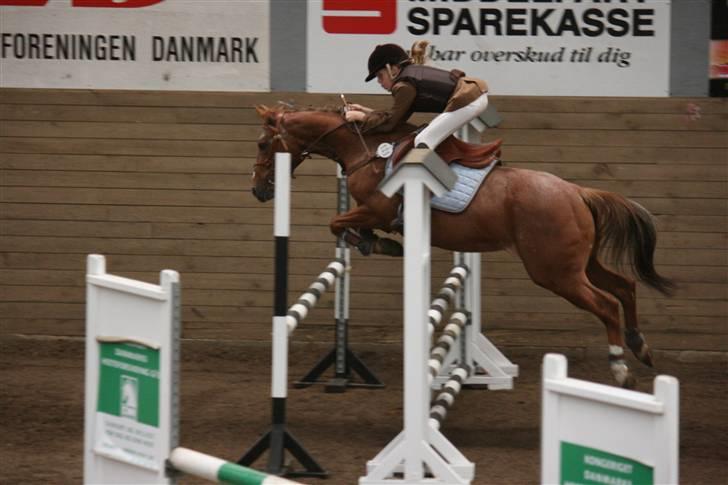 Anden særlig race SWEET CHERRY {b-pony} - en af deres første LA´er. billede 2