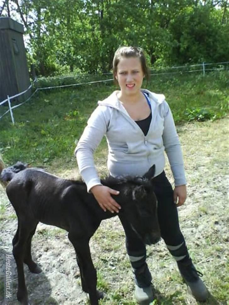 Anden særlig race Stald Magnas Momo Zon - Kun et halv dag gammel, er han ikk sød billede 3