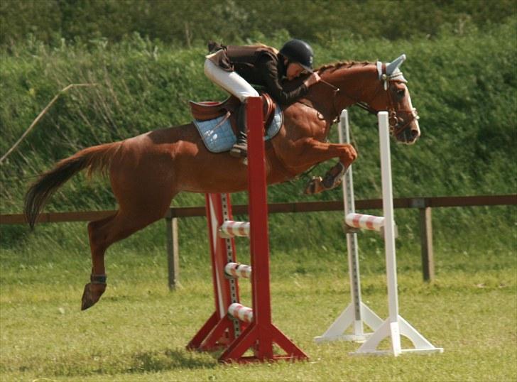 Anden særlig race Sweet Cherry [B-Pony] Aflivet - min vidunderlige pony MB sydjysk indvidiuel 2010 billede 6