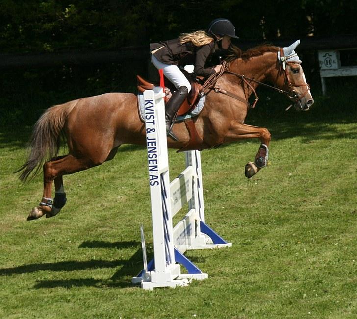 Anden særlig race Sweet Cherry [B-Pony] Aflivet - Sydjysk mesterskab :) billede 11