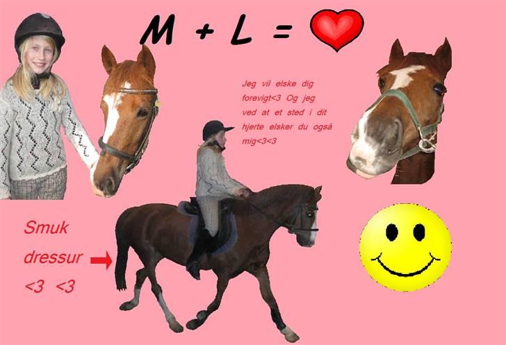 Anden særlig race Lighter *rideskolepony :( billede 14