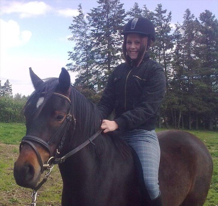 Anden særlig race Gamello Star***  -  (nu som rytter vend) billede 2