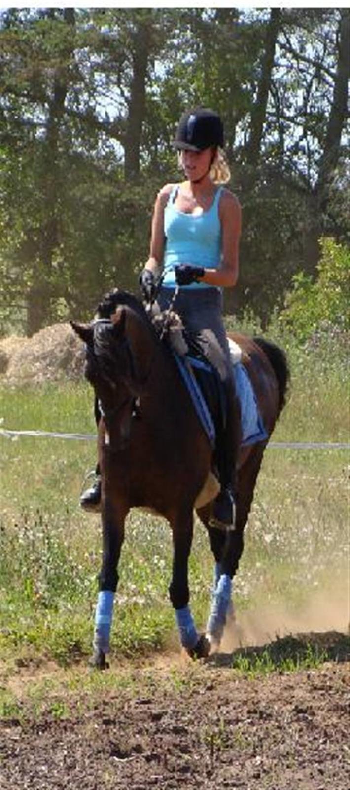 Anden særlig race Mr. Quickly SOLGT! billede 1