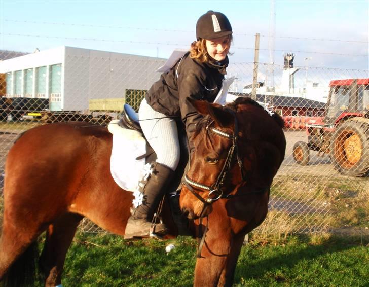 Dansk Varmblod May Spirit - Juleoptog korsør 2009 billede 15