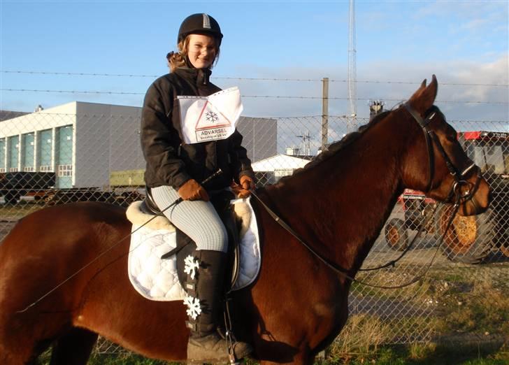 Dansk Varmblod May Spirit - Juleoptog korsør 2009 billede 16