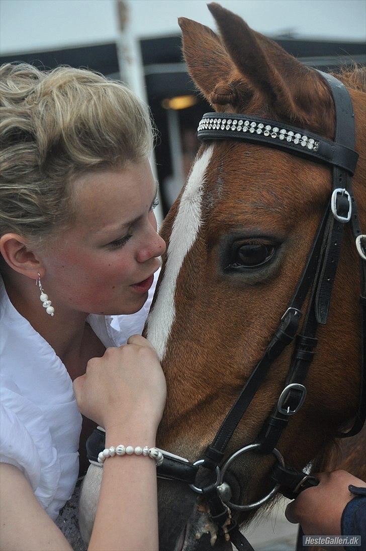 New Forest Stegstedgård's Pixeline<3 VBP<3 -  Du er mit et og alt , jeg elsker dig :D<3. Til min konfirmation d.22 Maj , da Pigerne kom med Pixe, Tusind tusind tak:)  foto: As billede 3