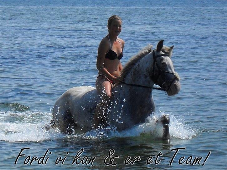 Hollandsk Sportspony Tiger - My soulmate<3 (Snoopy) - Mig og min smuksak ved stranden :) billede 8