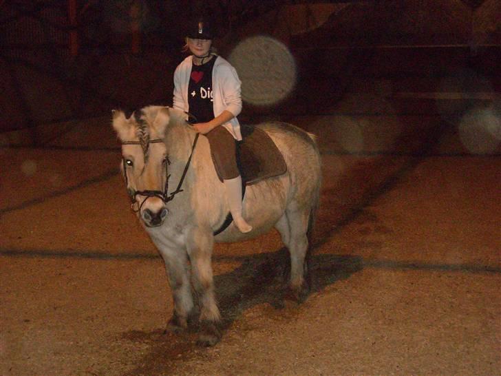 Fjordhest Buller <33 R.I.P. <33  billede 18