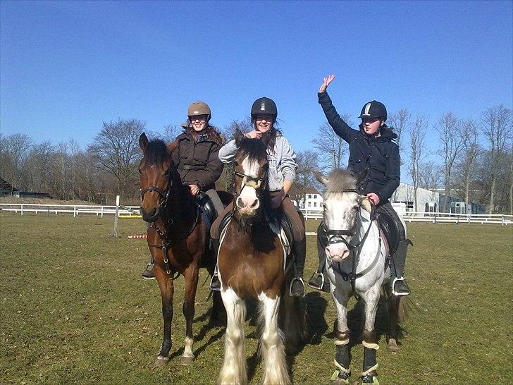 Hollandsk Sportspony Tiger - My soulmate<3 (Snoopy) - Team RUS! :D billede 10