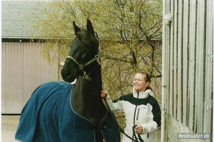Anden særlig race Tina "har redet" - Tina hos dyrlæge med ejer  billede 3
