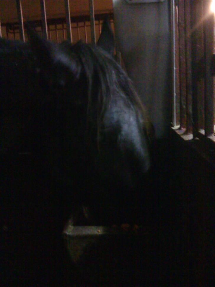 Anden særlig race Tina "har redet" - Tina der spise ( undskyld kvaliteten  bedre billeder kommer) billede 4