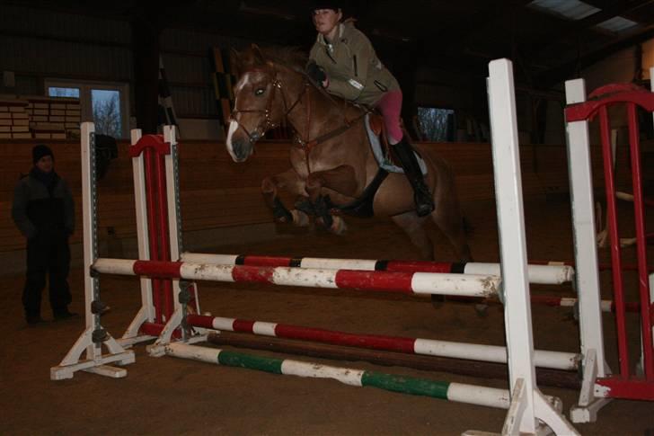 Anden særlig race SWEET CHERRY {b-pony} - jan 2009 billede 6