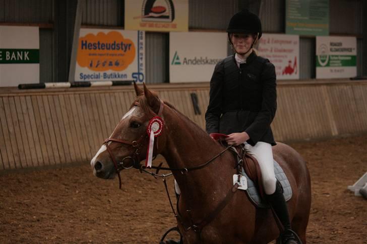 Anden særlig race SWEET CHERRY {b-pony} - mig og cherry billede 7
