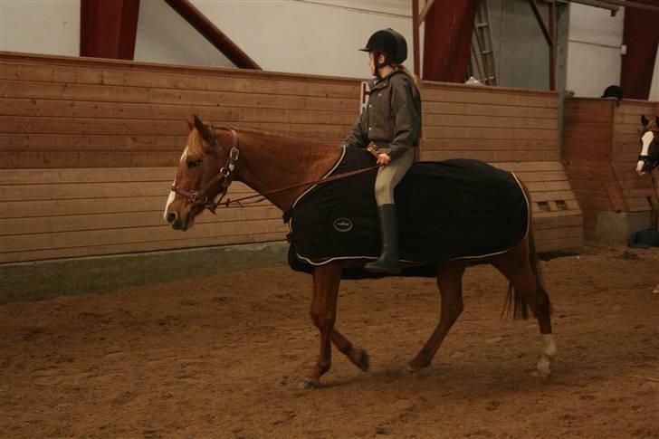 Anden særlig race SWEET CHERRY {b-pony} - 2008 billede 9