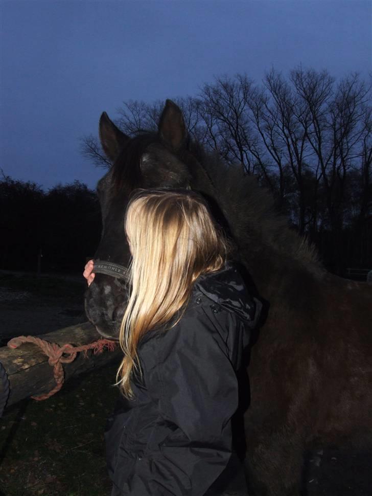 Anden særlig race Thor <3 Love ya' <3 Part  - Mig og ham <33 Foto: Tatti <3 tak (; billede 10