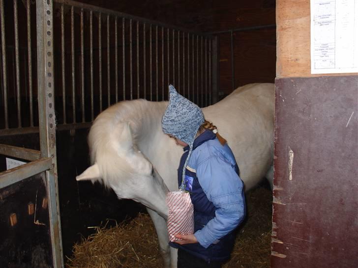 Anden særlig race Sandy R.I.P. - Uhh godbidder mums :) billede 5