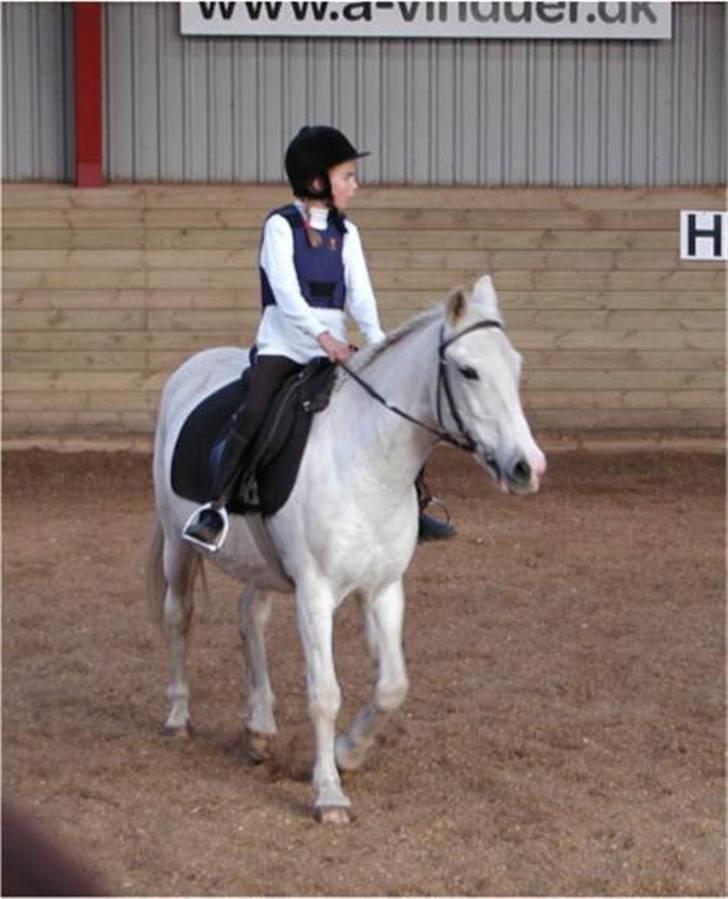 Anden særlig race Sandy R.I.P. - Dressur kan vi også :) billede 9