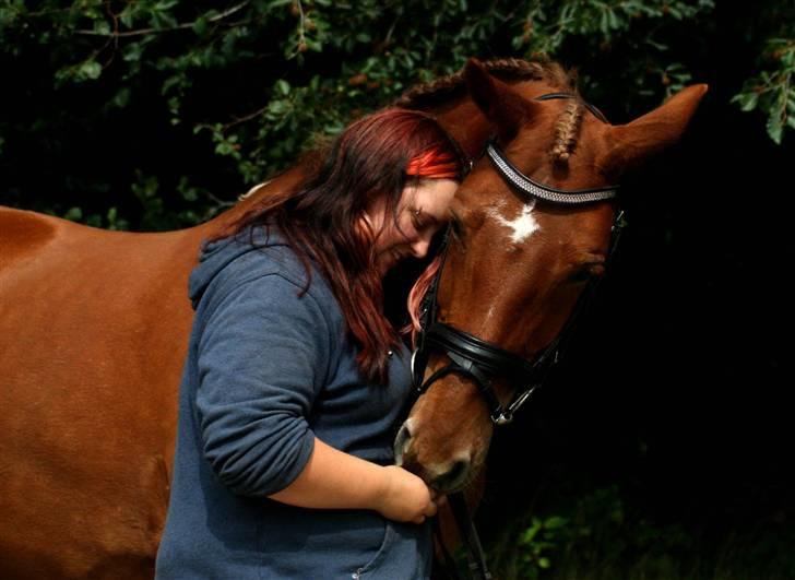 Anden særlig race Cassiopeia [ Solgt ] - Årh hvor jeg dog elsker den hest! Foto: Brinnie billede 3