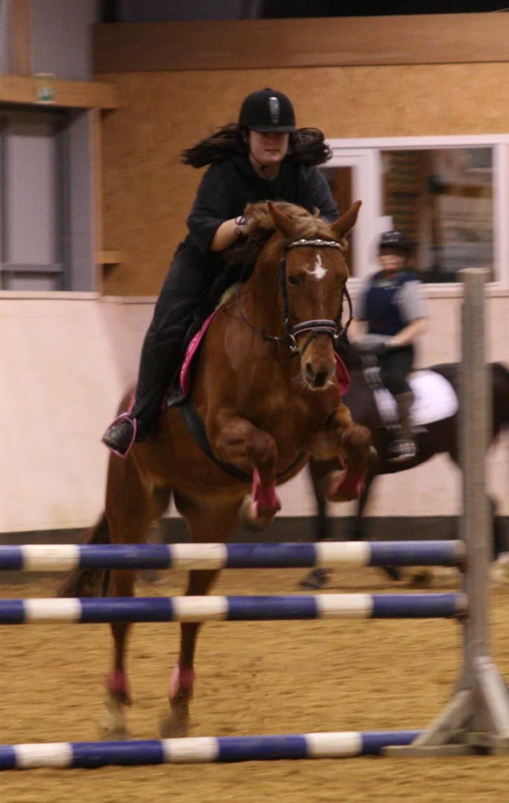 Anden særlig race Cassiopeia [ Solgt ] - Springtræning, mener det var i december 08 :) Fotograf: Sonja Strib billede 12