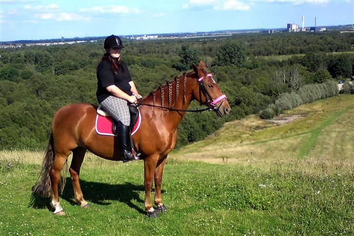 Anden særlig race Cassiopeia [ Solgt ] - På Skraldebjerget! :D Det er bare en super herlig tur! Foto: Brinnie (med mobil) billede 14