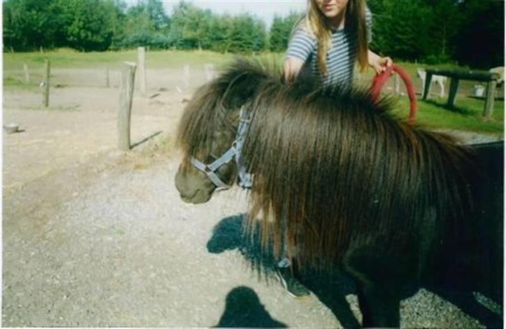 Miniature Albert billede 2