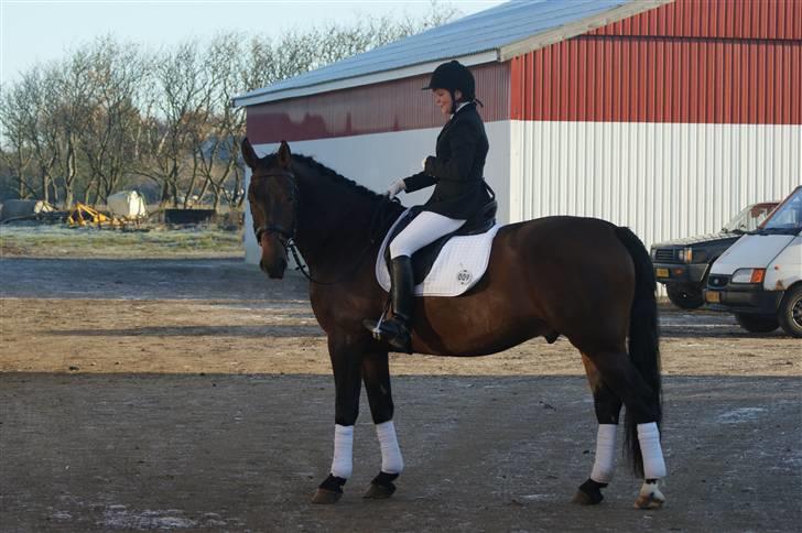 Oldenborg Sir Oliver billede 4
