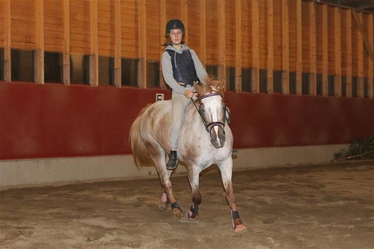 Knabstrupper Hilde Ætsted - 19: Hilde og meg i trav <3 dressuren blir bedre og bedre dag for dag nå :D billede 19