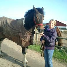 Anden særlig race Zahro -min gamle helpart