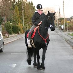 Frieser Sietse VD Molenwijk