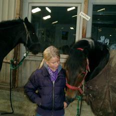 Anden særlig race Zahro -min gamle helpart