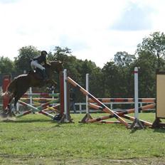 Anden særlig race Ullah 