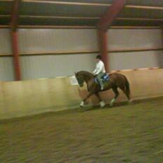 Hannoveraner wunder mädchen