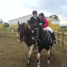 Anden særlig race Silver 