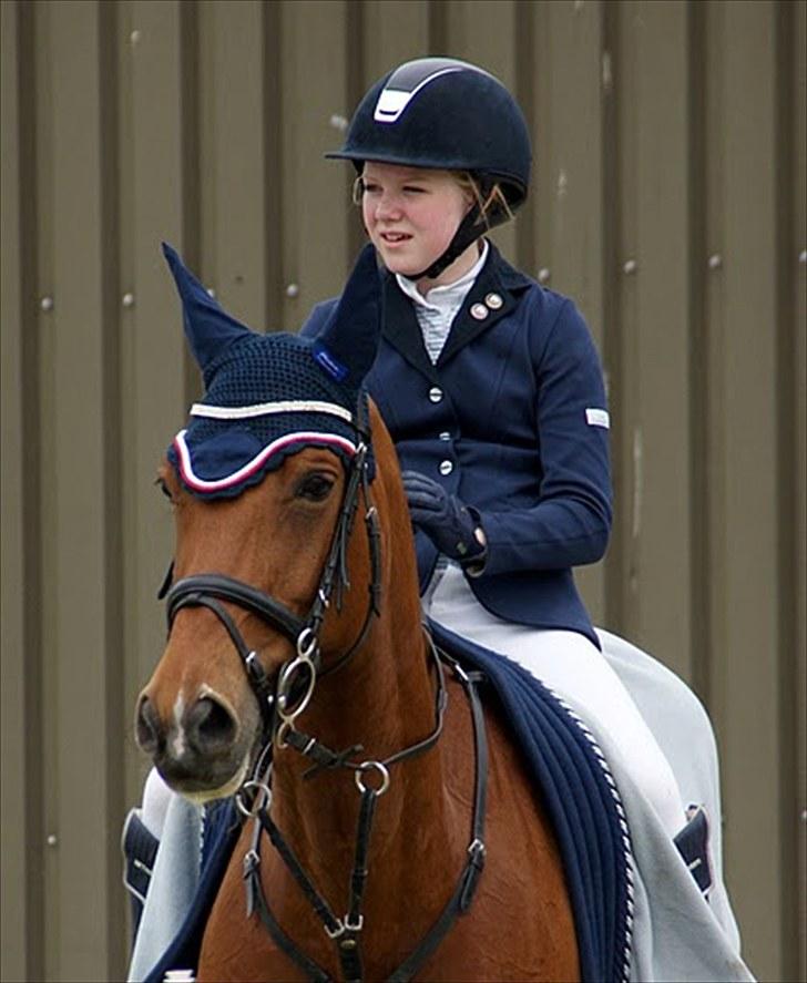 Hollandsk Sportspony Magic Avion R.I.P 16/5/11 - Min søster og Avi (: De skal nok blive et godt makker-par :D Foto: Trine Bomholdt, Tusinde tak billede 9