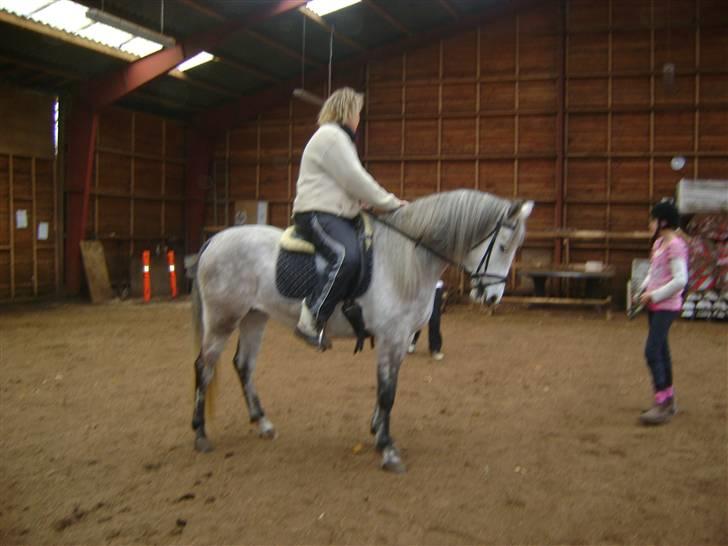 Anden særlig race venus  solgt billede 11